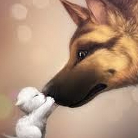 Meet your Posher, Jessie - Picture 1 of 1